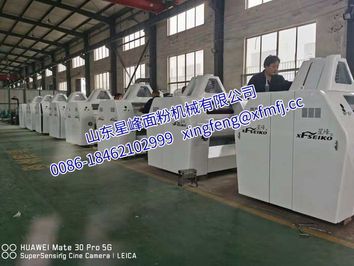  南美洲玉米成套设备生产现场