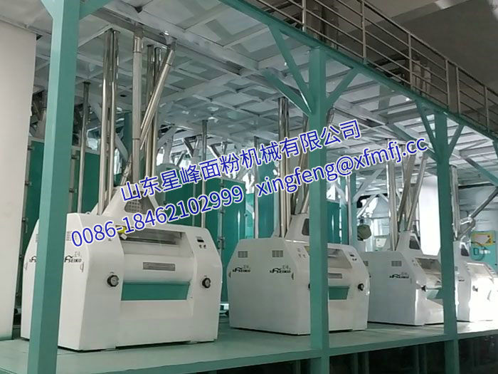 120吨大米制粉生产线安装完成